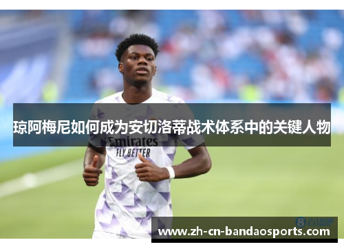 琼阿梅尼如何成为安切洛蒂战术体系中的关键人物