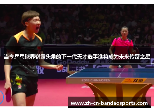 当今乒乓球界崭露头角的下一代天才选手谁将成为未来传奇之星
