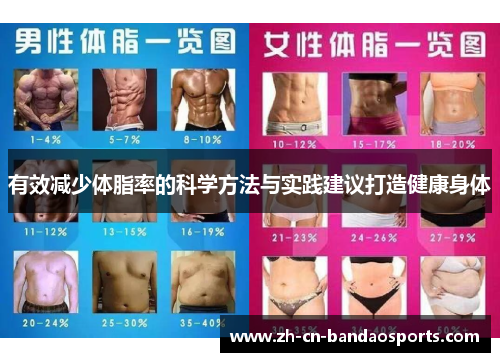 有效减少体脂率的科学方法与实践建议打造健康身体