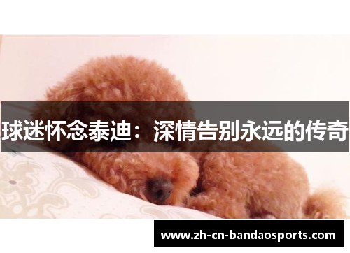 球迷怀念泰迪：深情告别永远的传奇