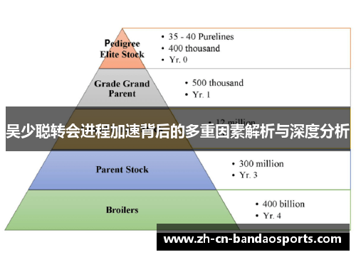 吴少聪转会进程加速背后的多重因素解析与深度分析